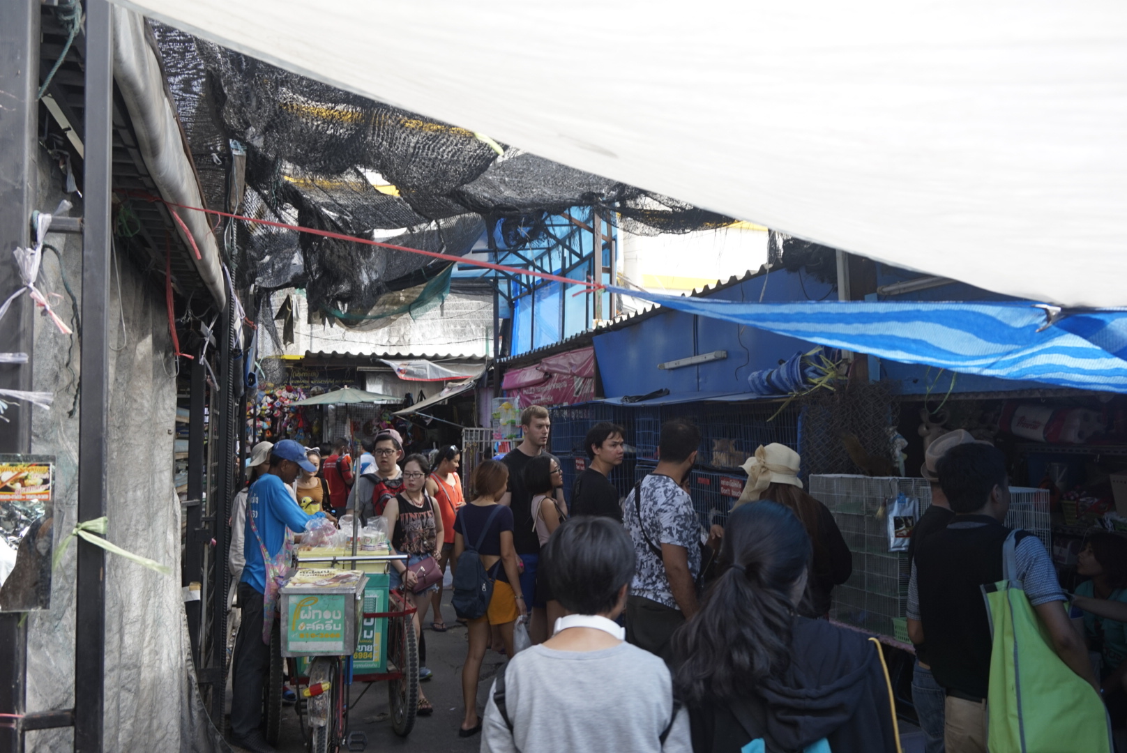 Chatchuchak Weekend Market