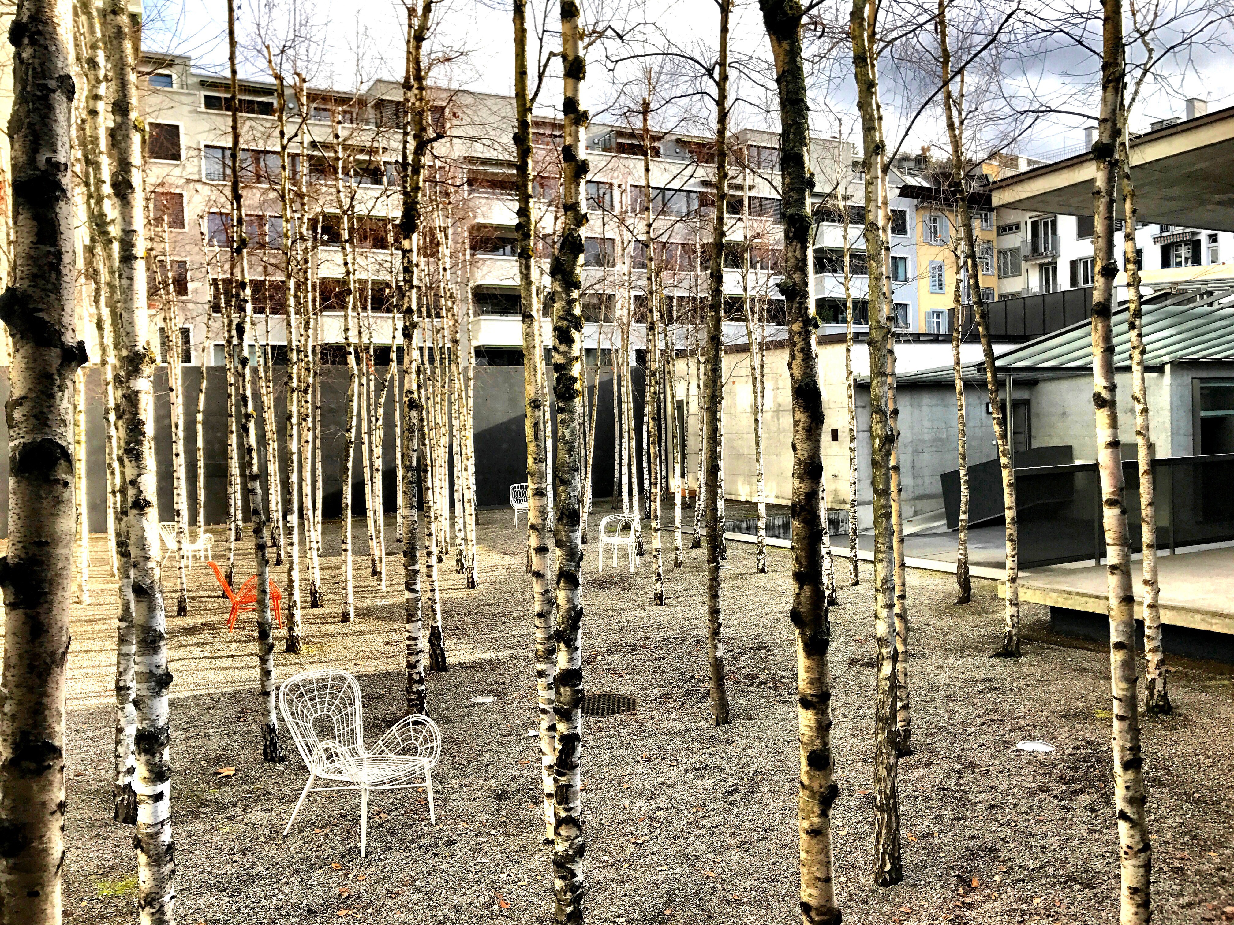 Greulich Design & Lifestyle Hotel, Zürich, Zurich, Switzerland, Schweiz