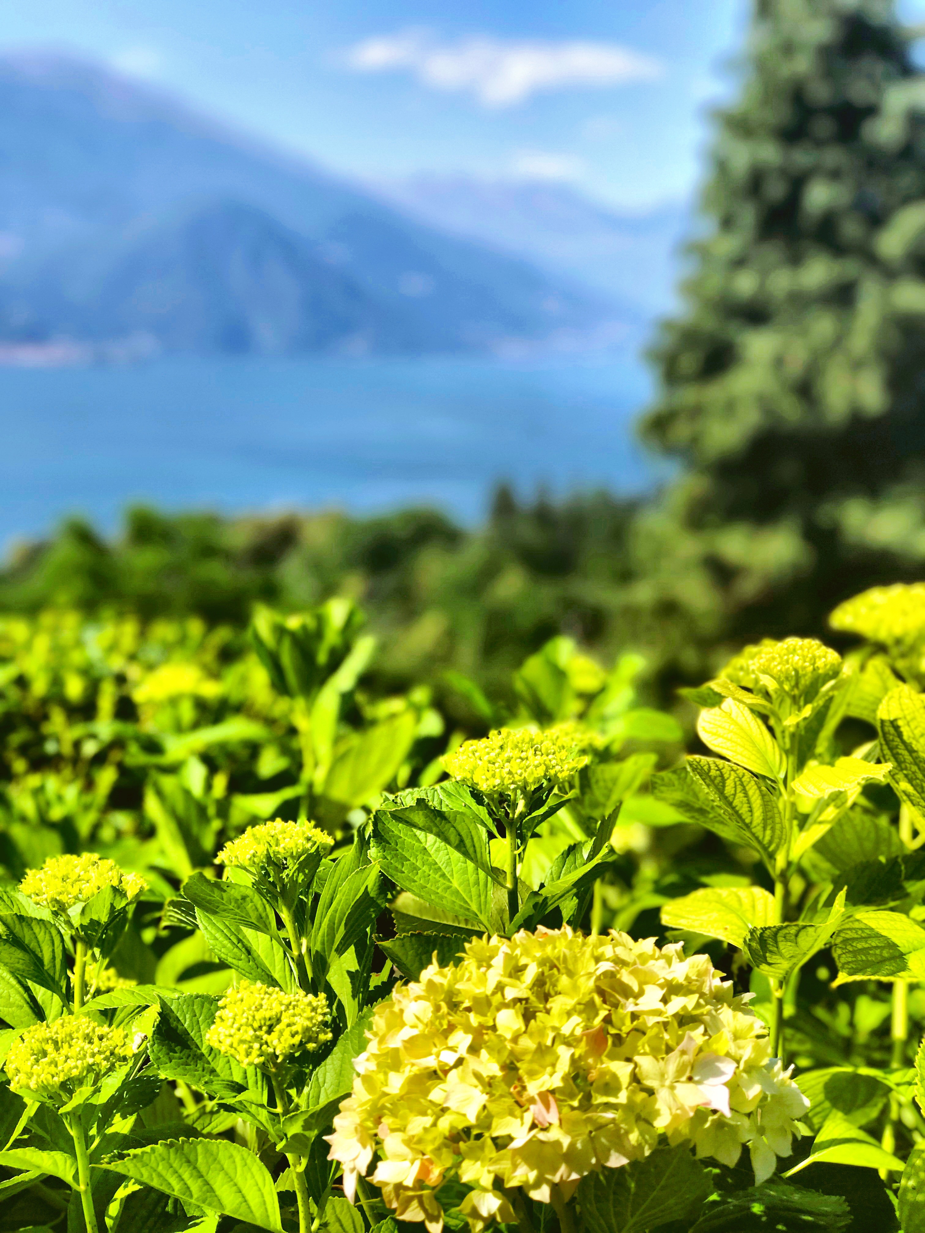 Lake como, Bellagio, italy