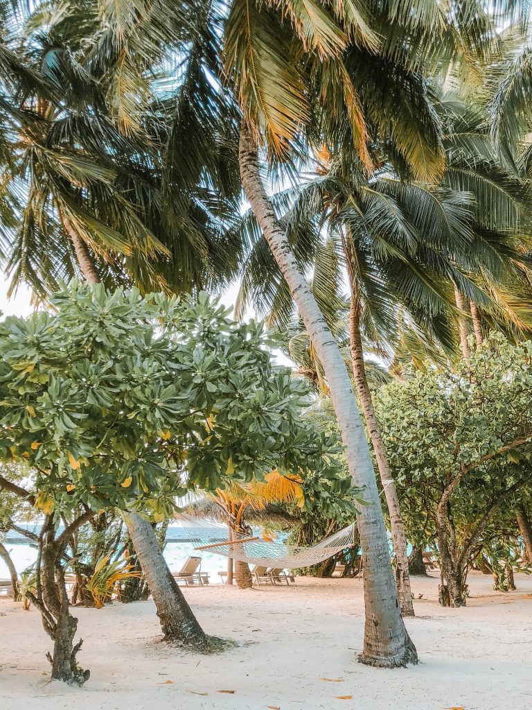 Kurumba Resort Maldives, Maldives, Fasten Ur Seatbelts, Annika
