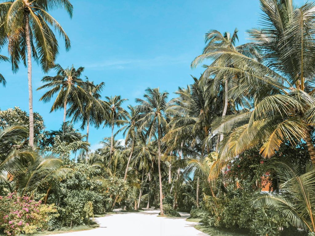 Kuramathi Island Resort, Maldives, Fasten Ur Seatbelts