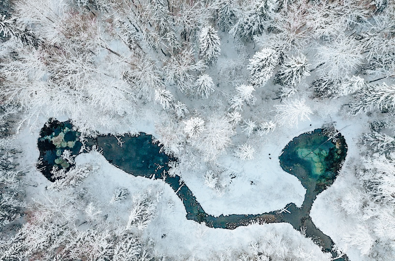 Estonia, Fasten Ur Seatbelts