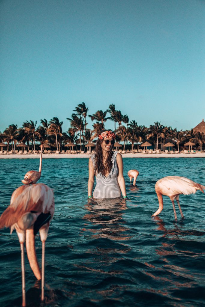 Fasten Ur Seatbelts, Caribbean, Karibik, Aruba