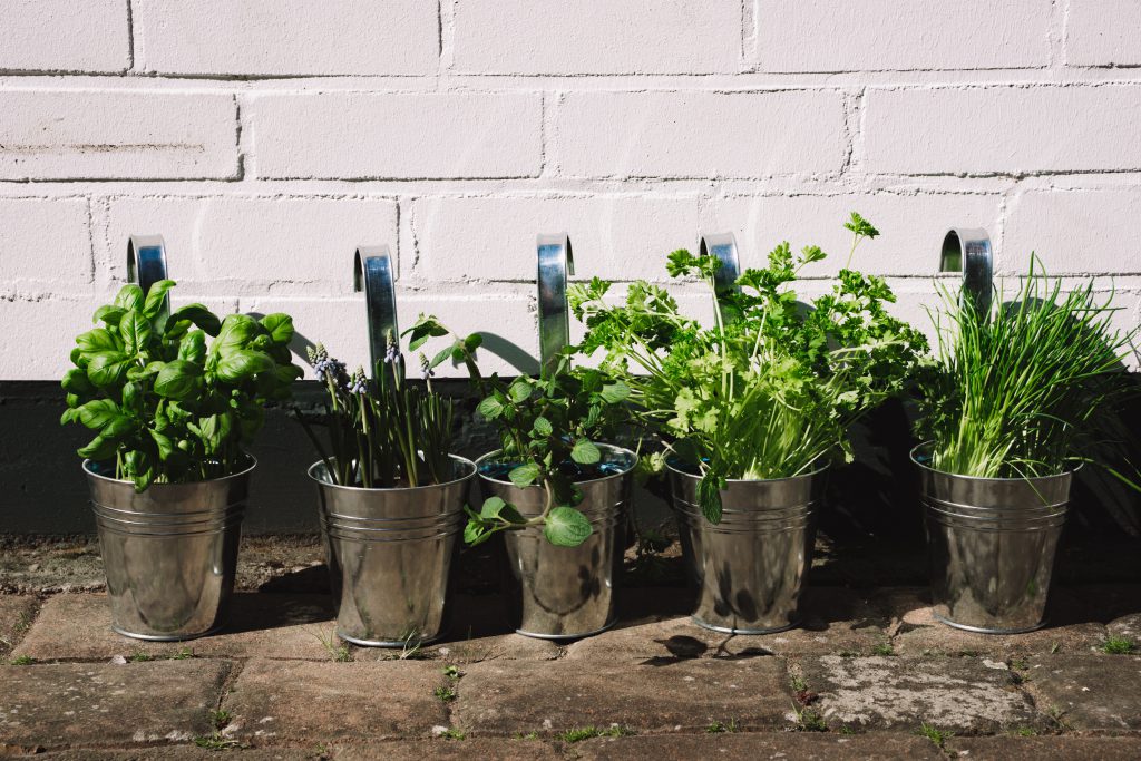 DIY, Dekoleiter, Deco Ladder, Do it yourself, Dekoleiter selber bauen, Hänge Vase, Kräutergarten