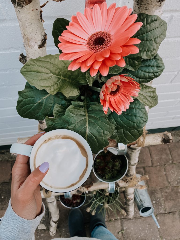 DIY, Dekoleiter, Deco Ladder, Do it yourself, Dekoleiter selber bauen, Hänge Vase, Kräutergarten