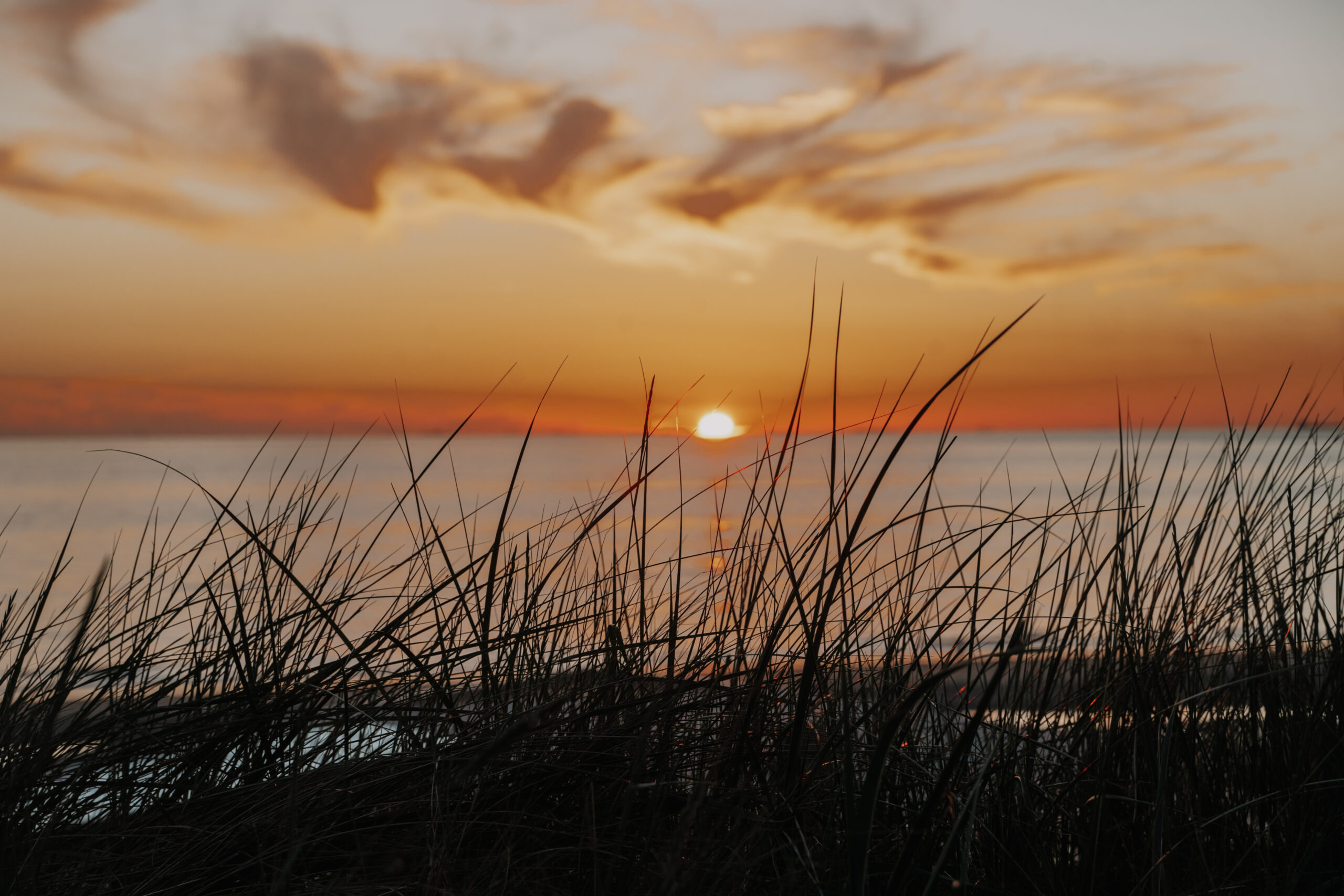 Bloemendaal aan Zee, Bloemendaal, Fasten Ur Seatbelts, Poort Beach Boutique Apartment