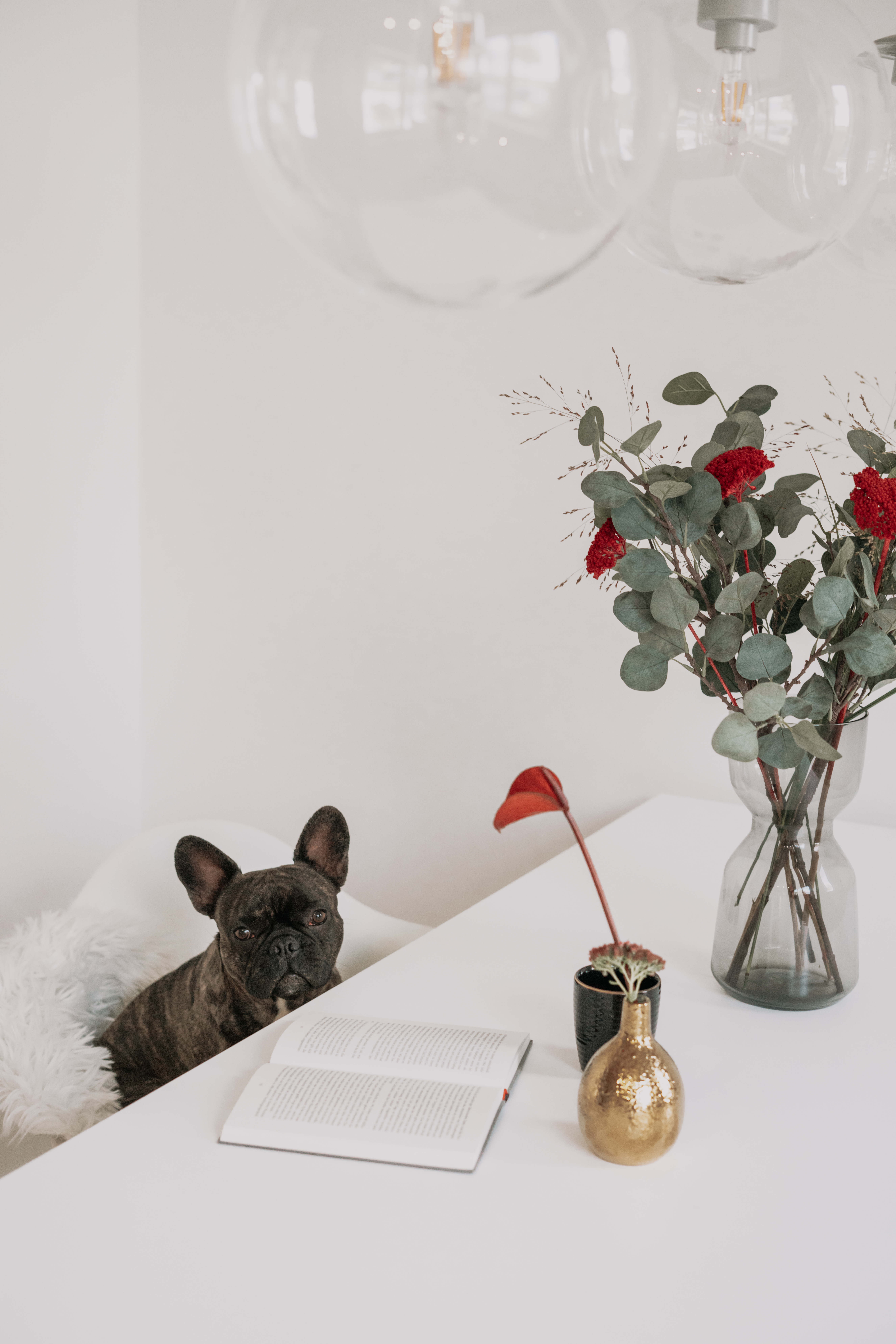 Connox, Fasten Ur Seatbelts, Herbst Deko, Minimalistisch